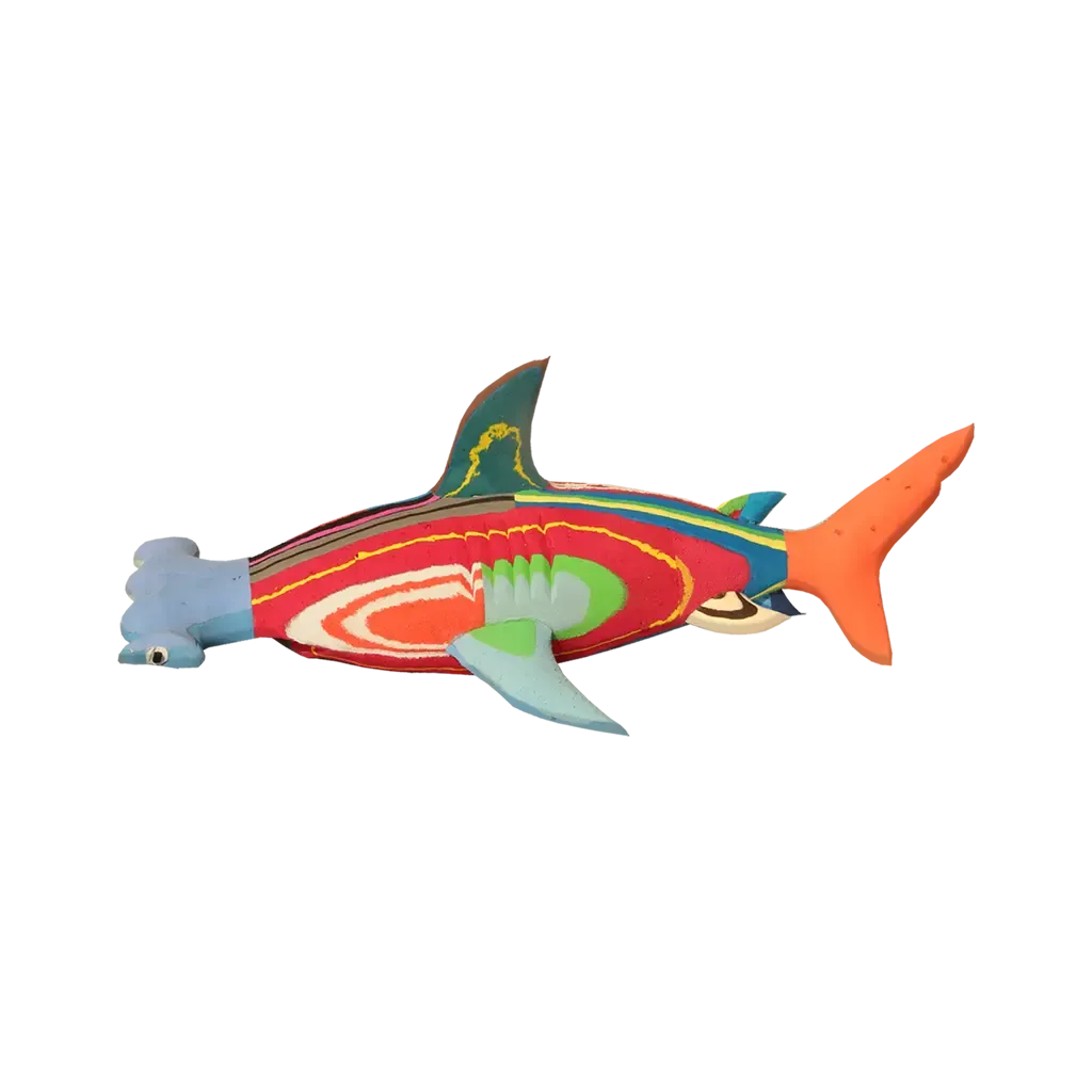 Sesame Street Flip Flops HAMMERHEAD SHARK