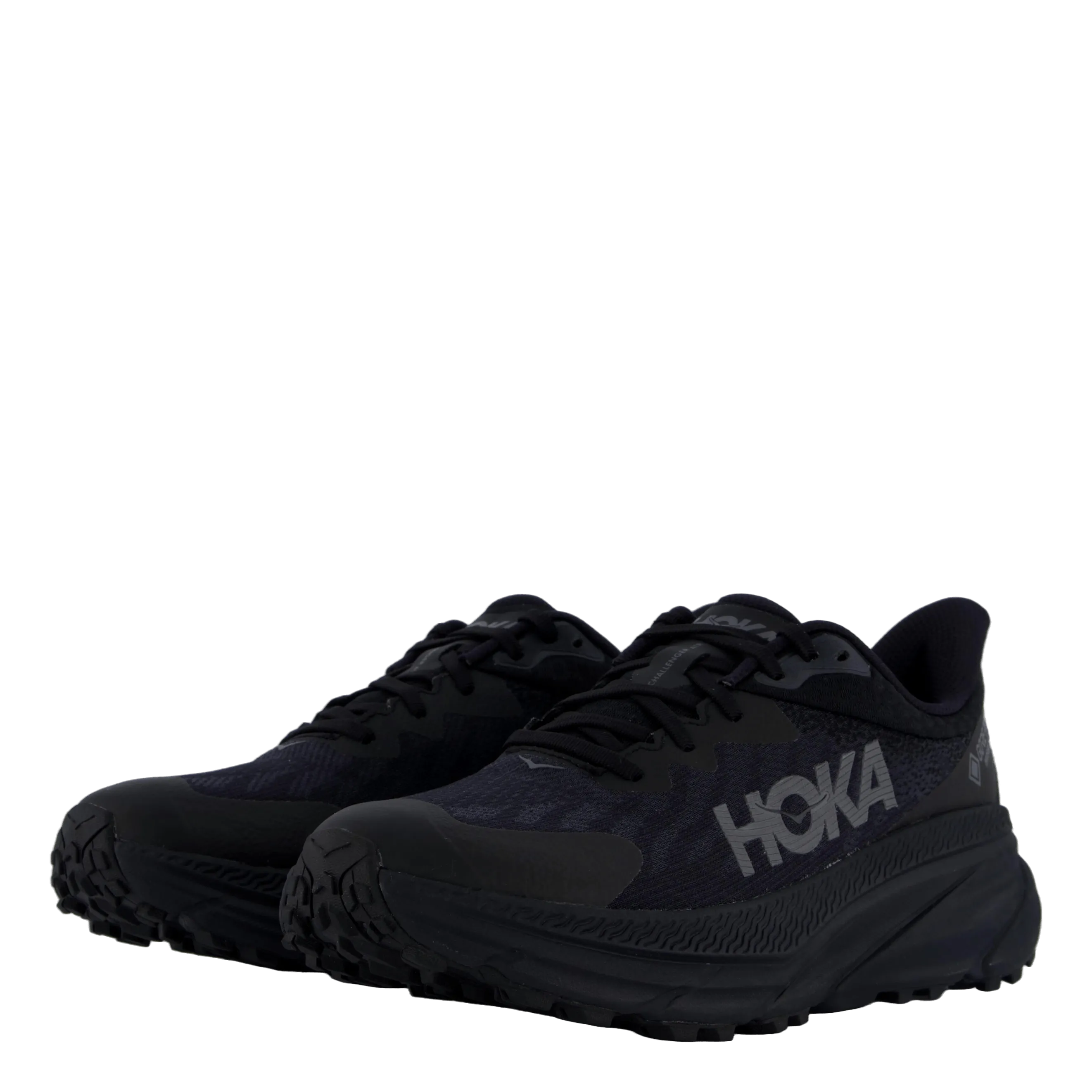 Best Daily Running Shoes 2024 M Challenger 7 Gtx Black / Black