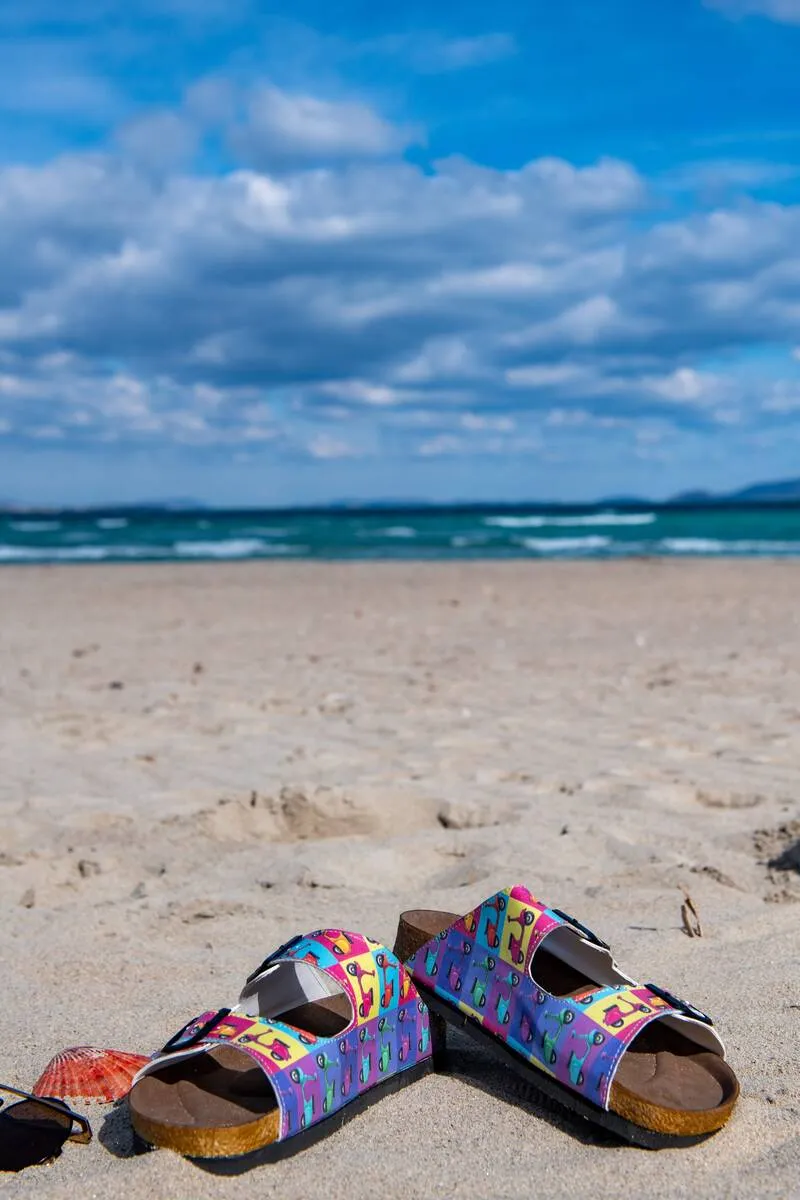 Quince Sandals Wanna Ride | Stella Sandals