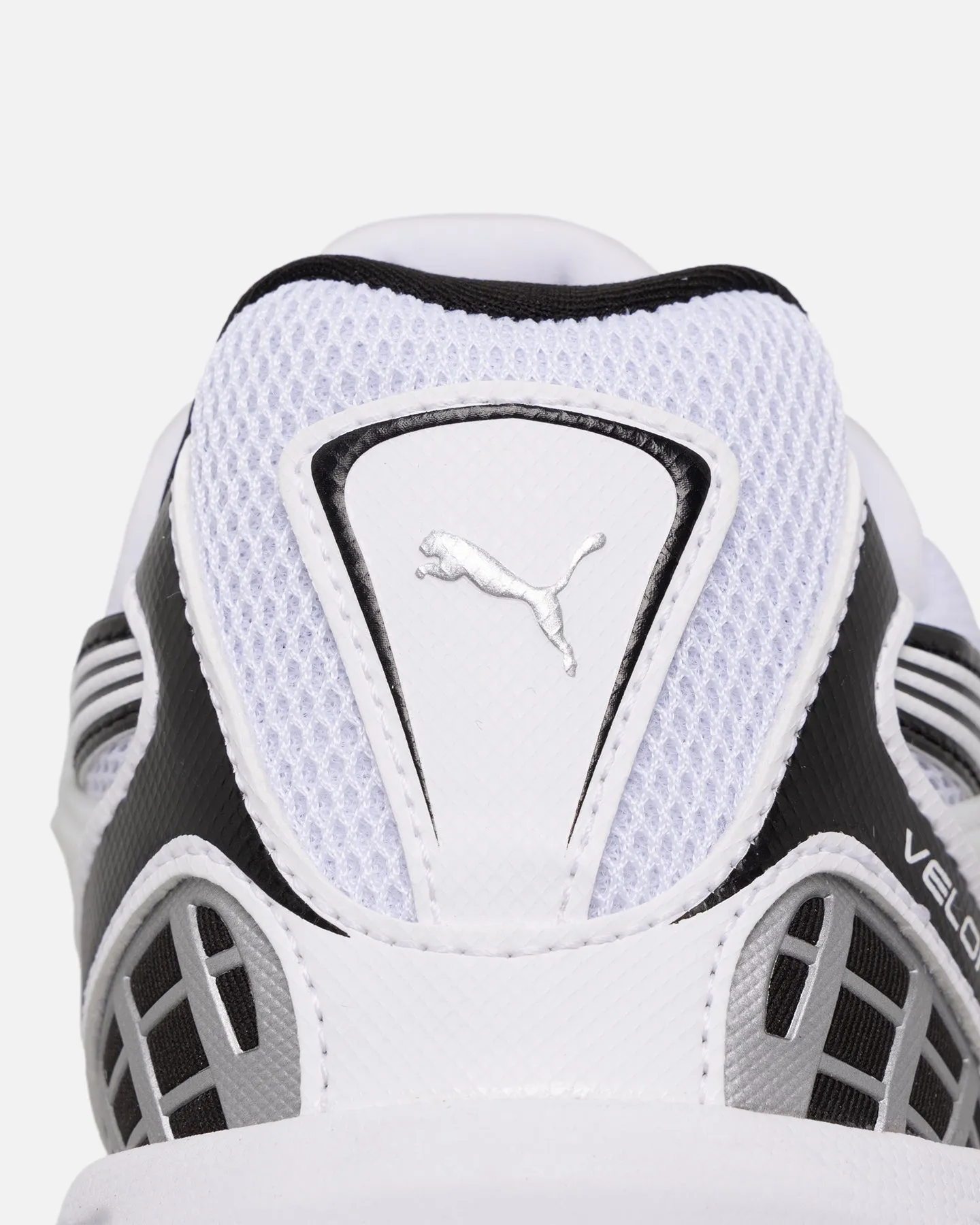 Puma Velophasis Always On White Asics Trail Scout 3 Running Shoe